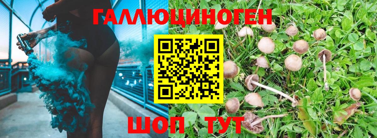 Заволжье  Псилоцибиновые грибы MAGIC MUSHROOMS  Вход с VPN  наркотики  Галлюциногенные грибы Magic Shrooms 