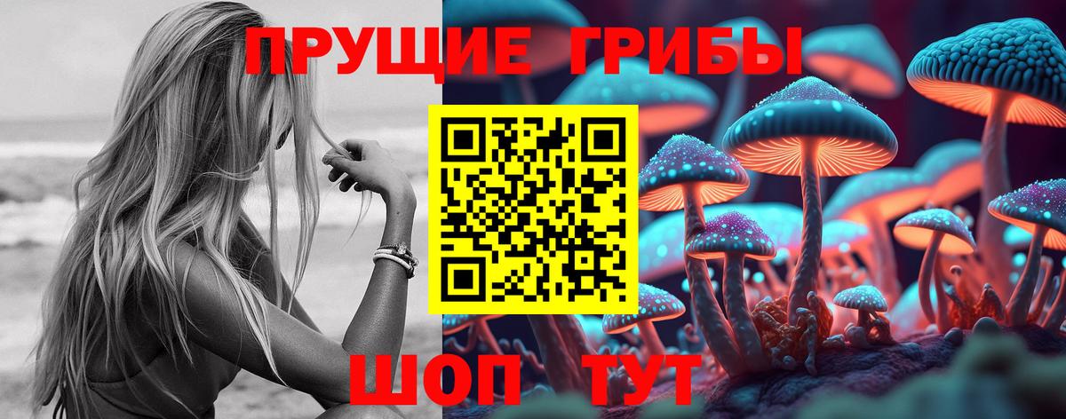 Галлюциногенные грибы Psilocybine cubensis Заволжье